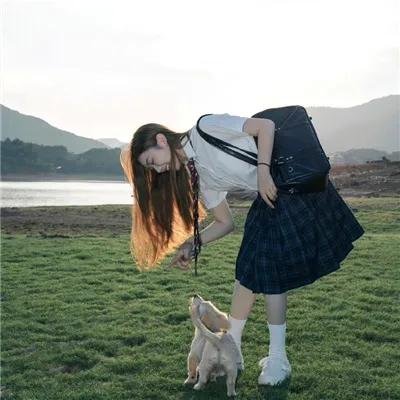 神台猫